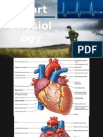 Heart Physiology