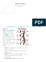 Nursing Care Plan - Spinal Cord Injury - Nursing Crib