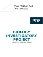 Ebola - Class 12 Biology Investigatory Project