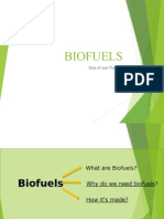 Biofuels: One of Our Futures