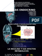 Pancreas Endocrino