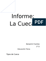 Informe Cueca 