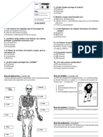 Evaluacion Cuerpo Humano 1 ° Basico Esqueleto 2013