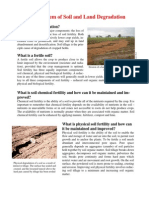 Leaflet Degradation PDF