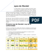 Leyes de Mendel