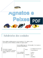 Agnatos e Peixes PDF