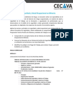 Salud y Seguridad Ocupacional en Mineria