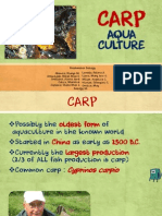 Carp Aquaculture