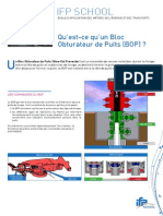 7 Bloc Obturateur Puits PDF