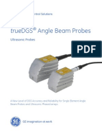 GEIT-20120EN TrueDGS Probes Datasheet