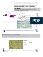 TP La Cellule-2