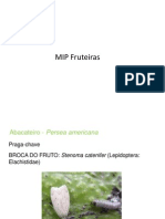 Aula 14 MIP Fruteiras