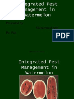 Integrated Pest Management in Watermelon