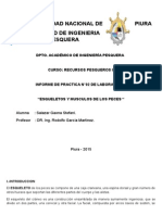 Practica 2 Recursos Terminada