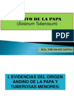  Cultivo de La Papa