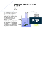 Measuring The Rate of Photosynthesis