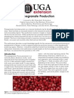 Pomegranate PDF