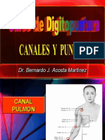 Digitopuntura Canales y Puntos