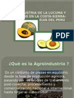 Agroindustria de La Lucuma - Palta Hass