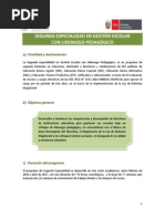 Programa de Segunda Especialidad en Gestión Escolar Con Liderazgo Pedagógico