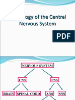 Physiology of The Central Nervous System