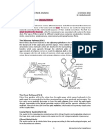 MVST IB Head and Neck Anatomy: Ntroduction To The Ranial Erves