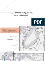 Inmunohistoquimica