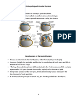 01embryology of Genitalia Tawhari