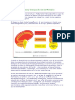 Cuarta Ley Biologica DR Hamer