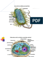 Estructura Microbiana I (1) .