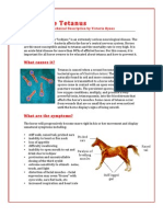 Equine Tetanus 202C