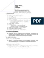 Planificacion de Clase, Regulación de Las Funciones Corporales y Homeostasis, Biología, Usada en Instituto de Cultura Britanica.