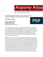 Coronary Arteries