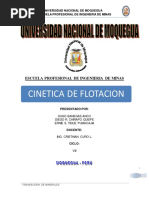 Cinetica de Flotacion