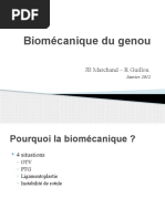 Biomécanique Du Genou Fdsfdsfdsfds