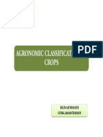 Agronomic Classification of Crops