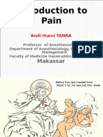 Introduction To Pain: Makassar