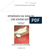 Roteiro Episódios Da Vida de Um Jovem Gato