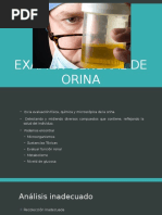 Examen General de Orina Completo