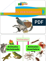 Presentación 2° Basico - Animales Vertebrados