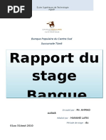 Rapport de Stage BP Hanane Lafai