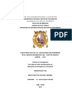 Características de Las Anotaciones de Enfermería en El Servicio de Medicina Del Hospital Rezo