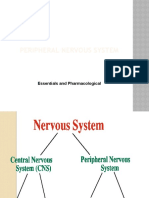 Peripheral ANS Complete A To Z