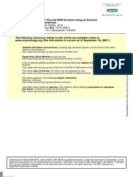 HIV-1 Proviral DNA Excision Using An Evolved Recombinase