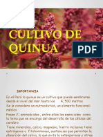 Manejo Del Cultivo de Quinua