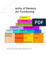 Sensory Motor Pyramid