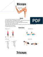 Muscle Presentation Sheets