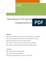 Introdução A Programação Decomputadores