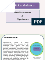 Plant Peroxisomes and Glyoxisomes