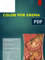 Colon Por Enema